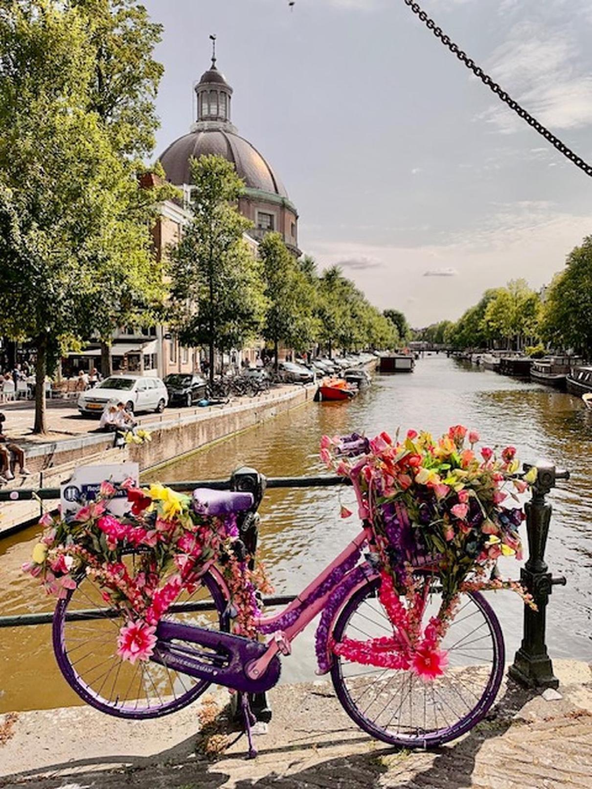 Bed & Breakfast Jo Amsterdam Diemerbrug Eksteriør billede